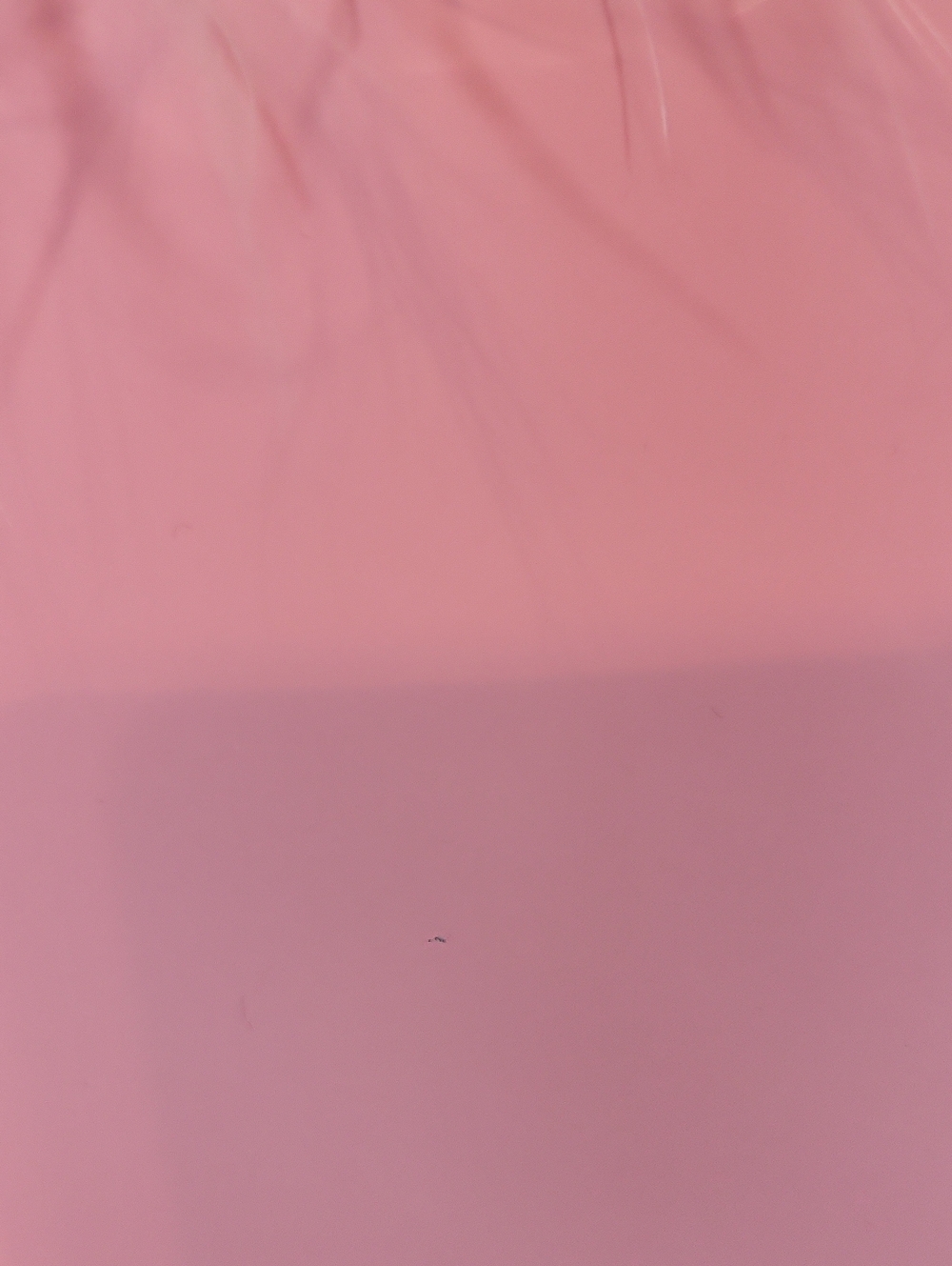 Pink Mini Handbag - Picture 4 of 11